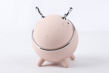  Portable RF Facial Device