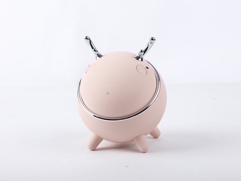 Portable RF Facial Device