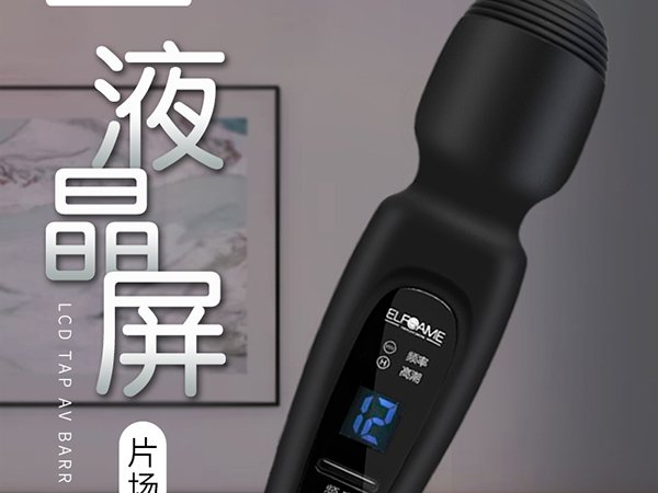 Wand Vibrator