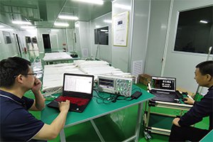 Inspection of electric circuit and control software